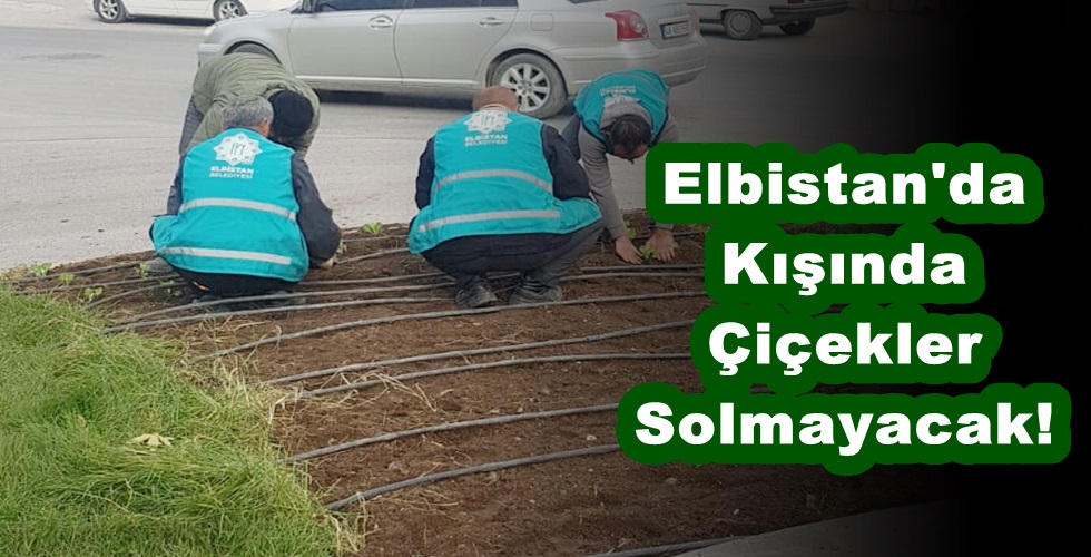 Elbistan’da Kışında Çiçekler Solmayacak!
