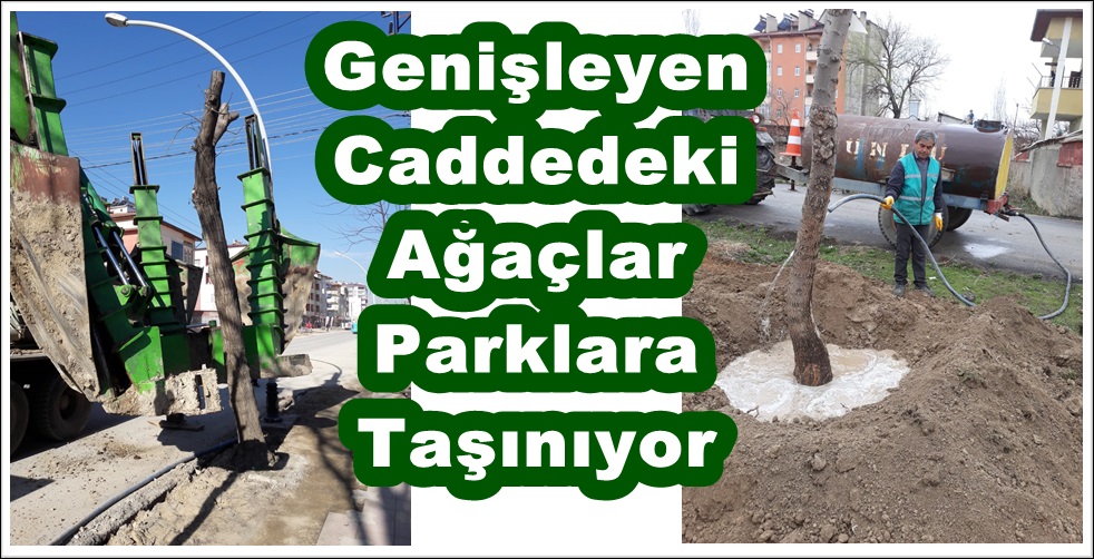 beyaz-renkuı