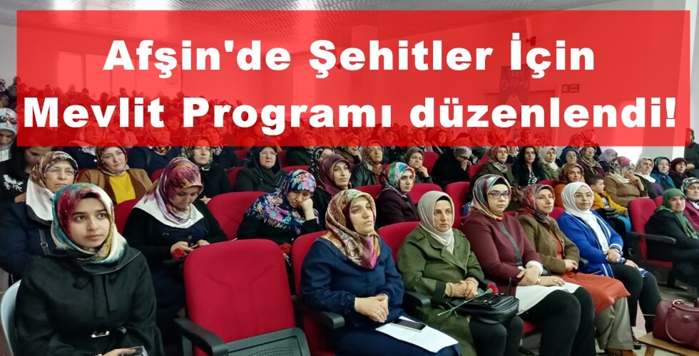 mevlit (2)y