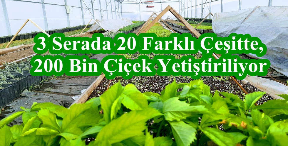WhatsApp Image 2020-04-22 at 14.04.13tyu
