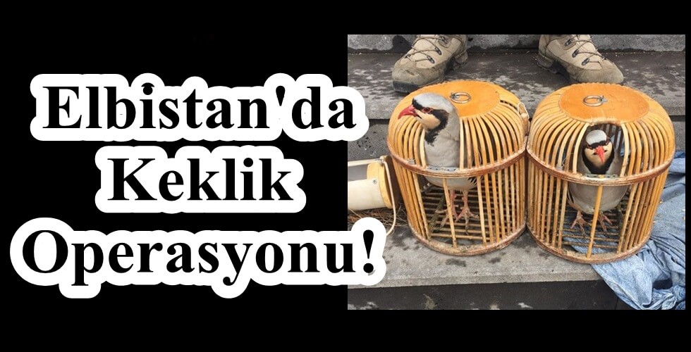 aaaaaaaaatuyı