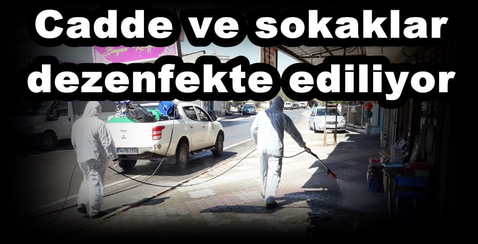 dezenfekte (9)yı