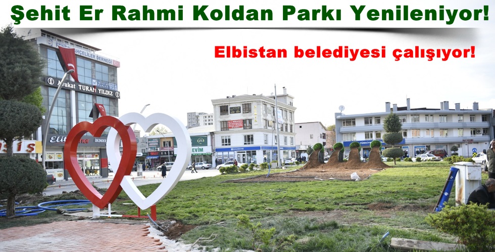 dstyuı