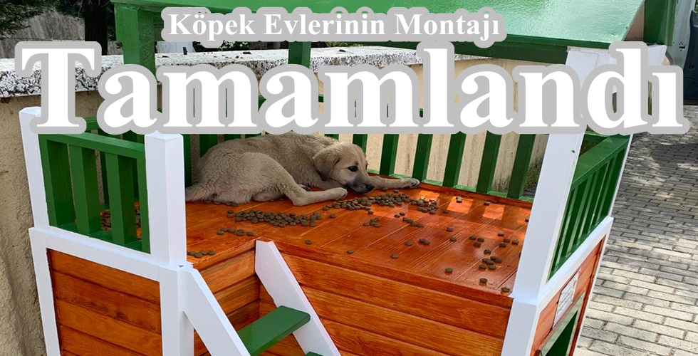 Köpek Evlerinin Montajı Tamamlandı!