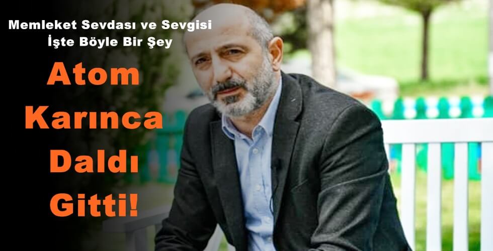 Atom Karınca Daldı 1t