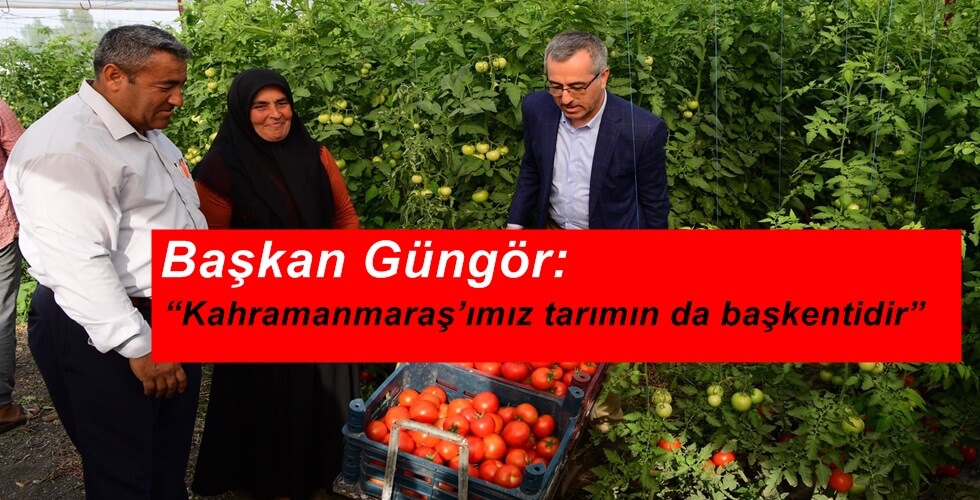 domates (8)uı