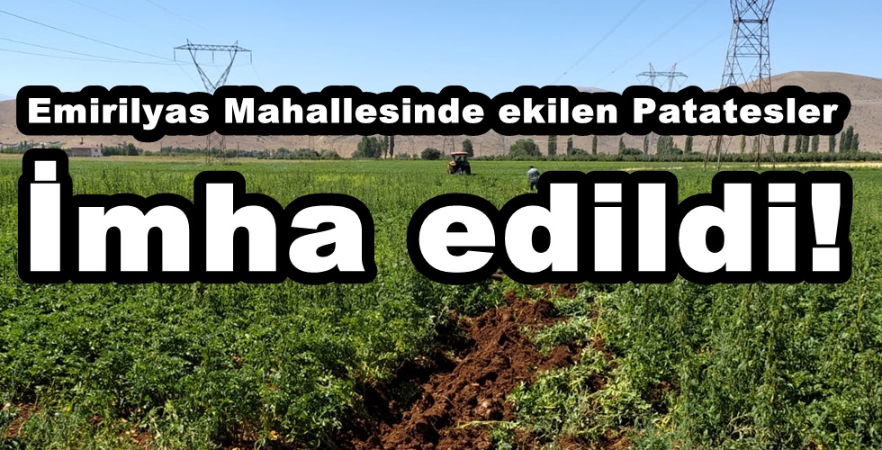 WhatsApp Image 2020-08-20 at 16.24.01y