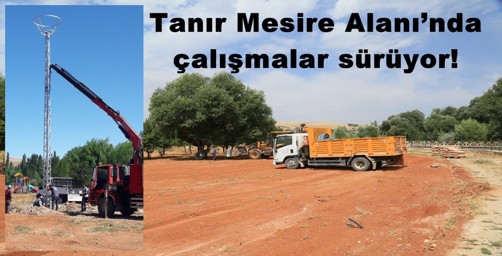 tanır (11)y