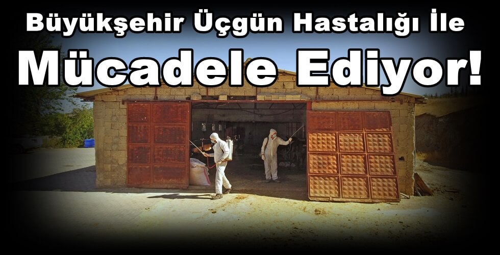 DCIM100MEDIADJI_0064.JPG