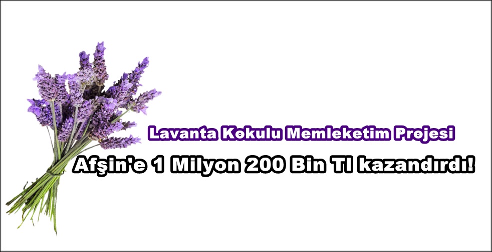 beyaz-renky