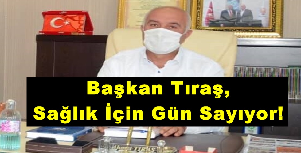 Başkan Sağlık 1t