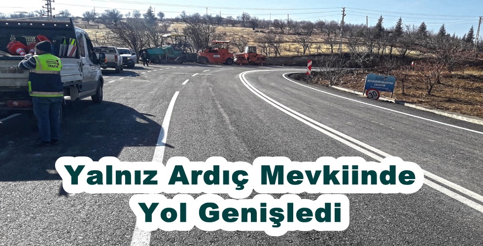 Yalnız Ardıç (7)y