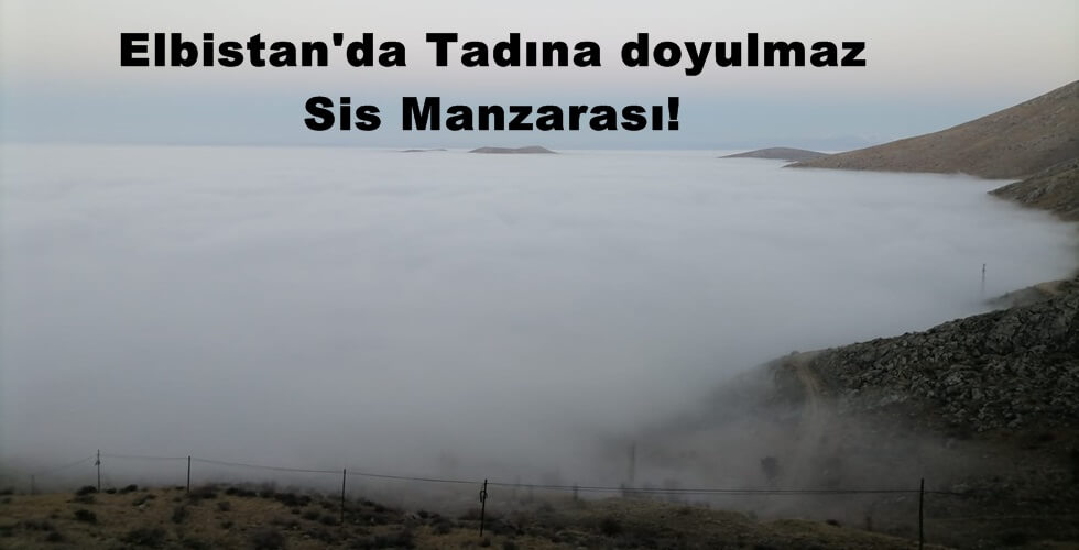 WhatsApp Image 2021-01-03 at 18.24.46yı