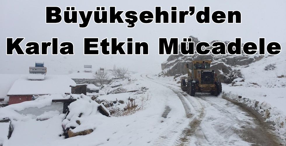 örenli (4)T