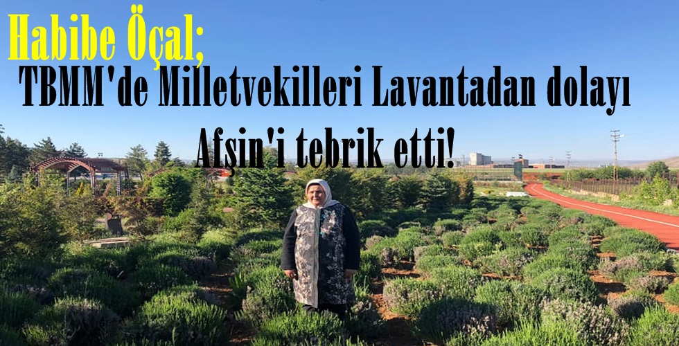 188142771_1445152082341381_7106104461982928252_nfguı