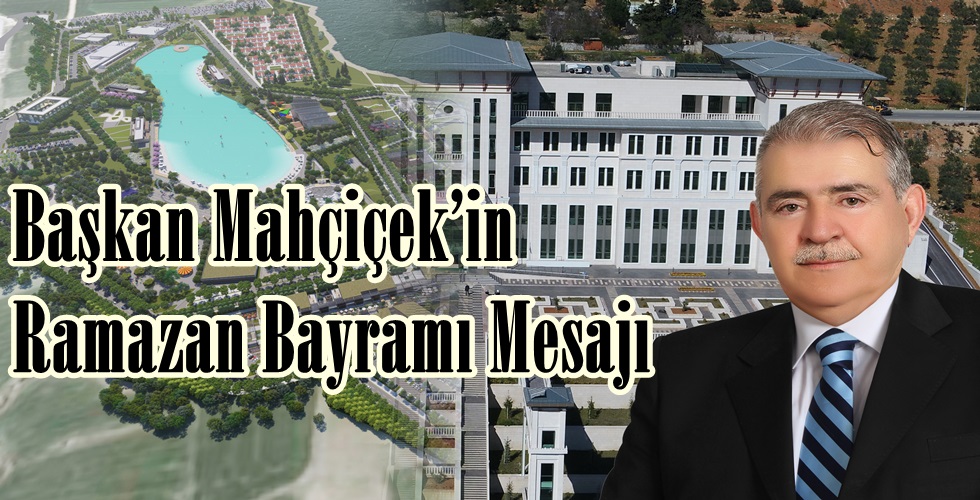 DCIM100MEDIADJI_0004.JPG