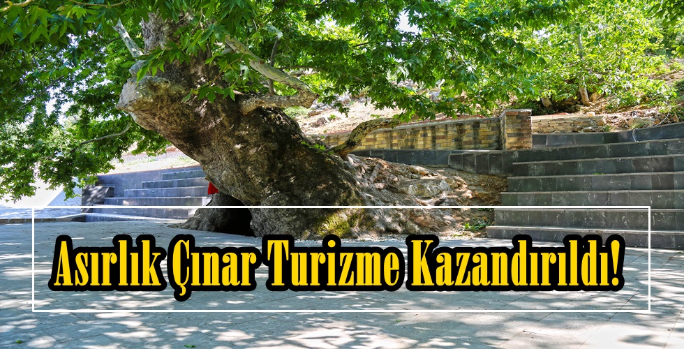 Anıt Ağaç Çevre ve Meydan Düzenlemesi (2)hy