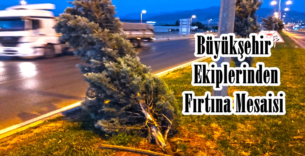 Şehir İçi Temizlik (9)y