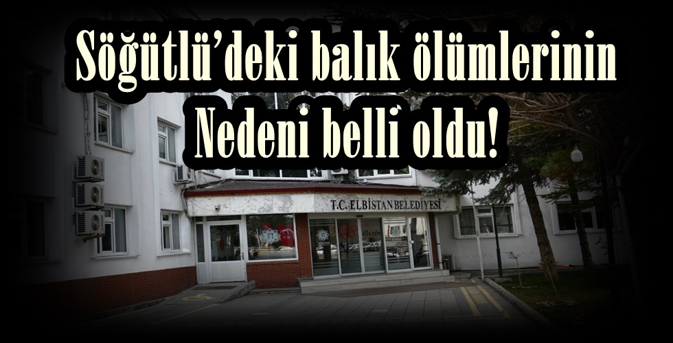 WhatsApp Image 2021-08-11 at 16.06.41Y