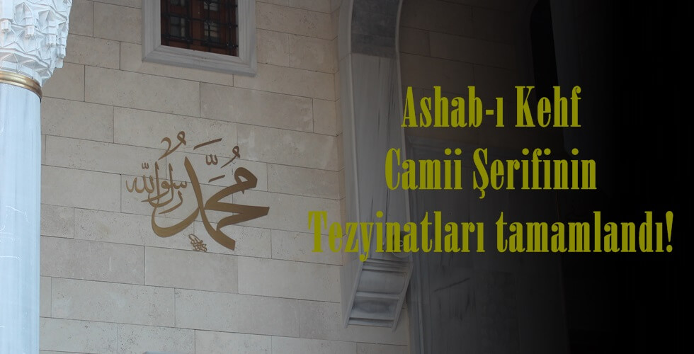 IMG_6645YI