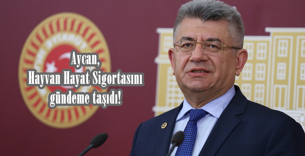 basınbasınt