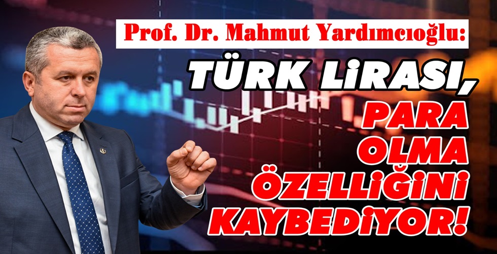 haber datayYU