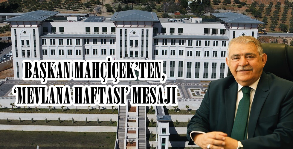 DCIM100MEDIADJI_0004.JPG
