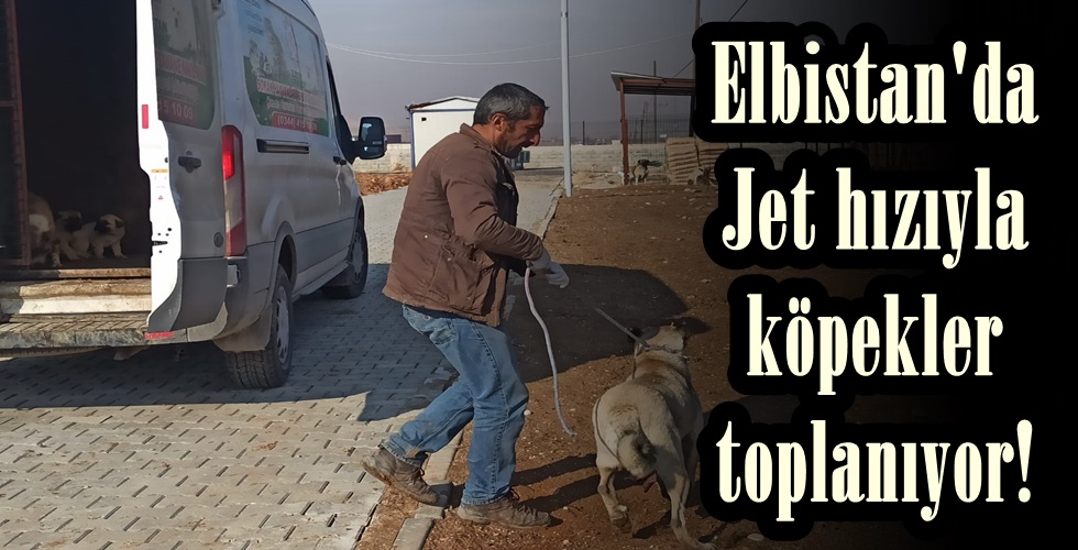 WhatsApp Image 2021-12-28 at 11.27.37 (1)tu