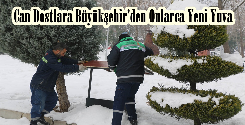 Beslenme Üniteleri & Kedi Evleri (7)y