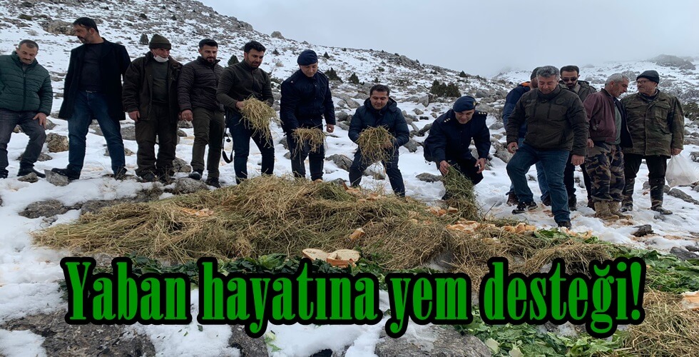 WhatsApp Image 2022-01-06 at 18.42.33 (2)yı
