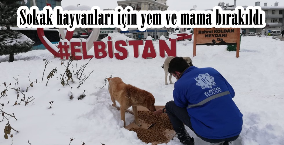 WhatsApp Image 2022-01-20 at 11.57.35 (1)t