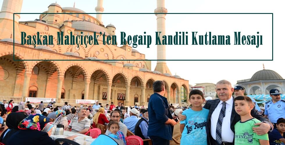 WhatsApp Image 2022-02-02 at 15.48.31yı