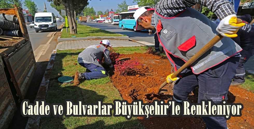 Peyzaj uygulamaları (3)y