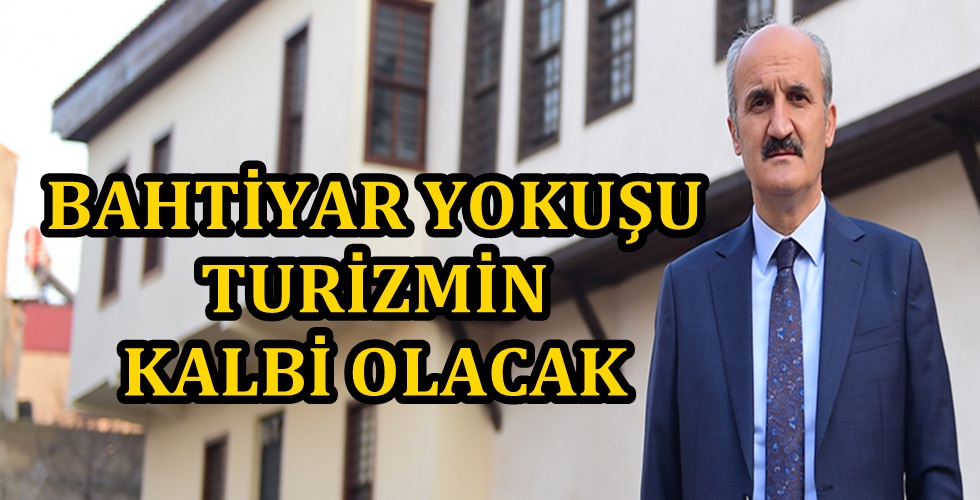 DLK_9804y