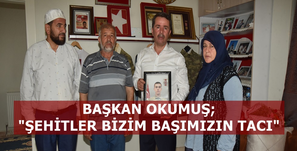 ALI_5735Y