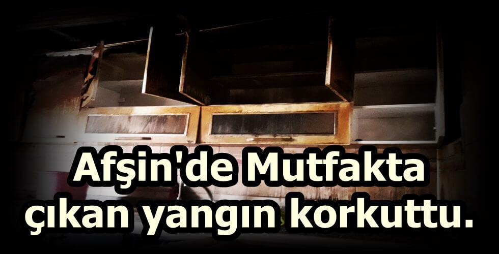 WhatsApp Image 2022-07-02 at 11.57.40u