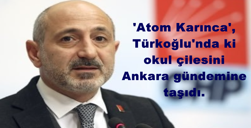 özt3y