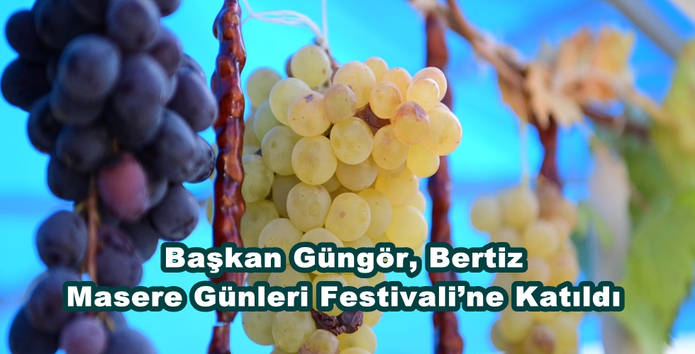 Geleneksel 2. Bertiz Masere Günleri Festivali (2)y
