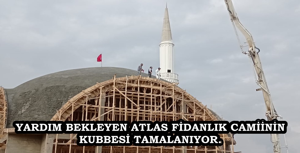 WhatsApp Image 2022-11-10 at 16.16.40 (1)HYIKDYI