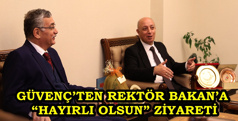 3yı