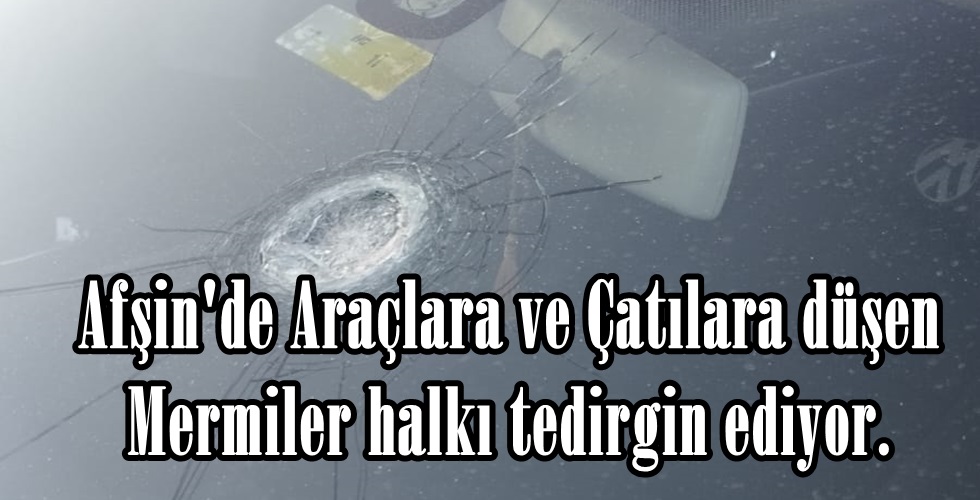 WhatsApp Image 2023-08-20 at 14.55.06ıo