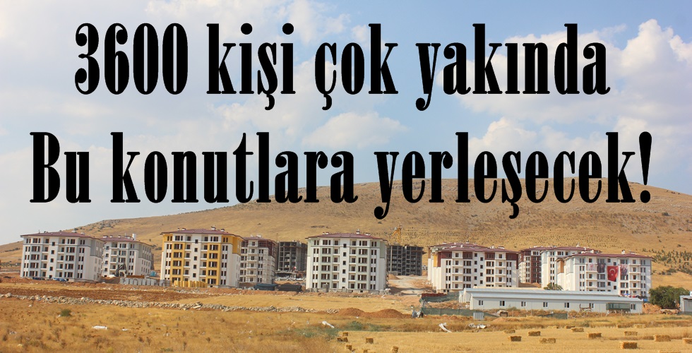 IMG_3818yı