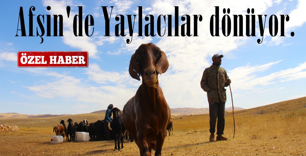 WhatsApp Image 2023-11-10 at 19.23.41 (1)uıo