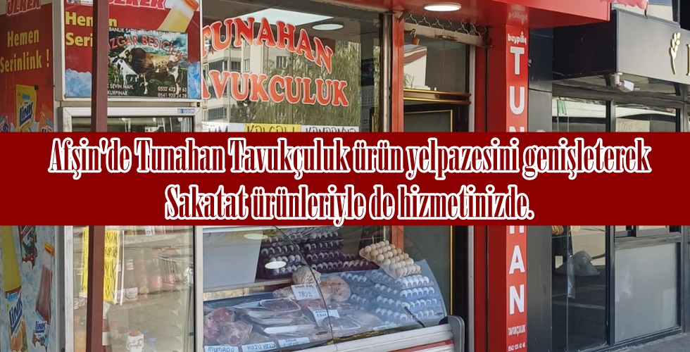 WhatsApp Image 2023-11-11 at 14.30.50ıoUO