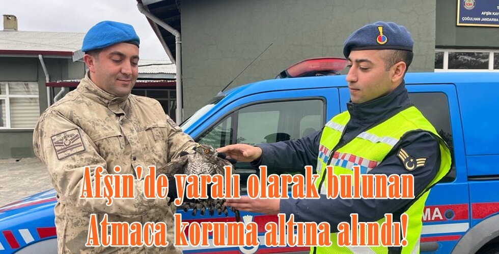 WhatsApp Image 2024-01-04 at 21.17.18uo
