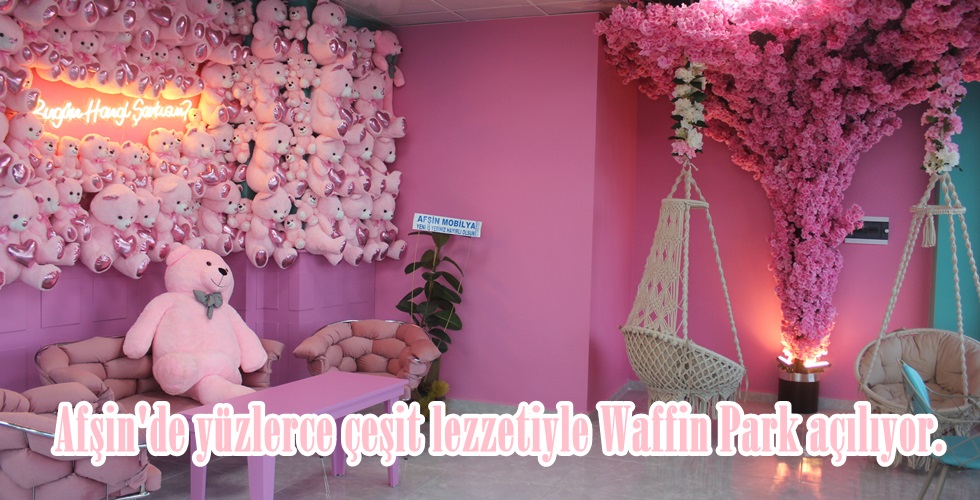IMG_8659yuı
