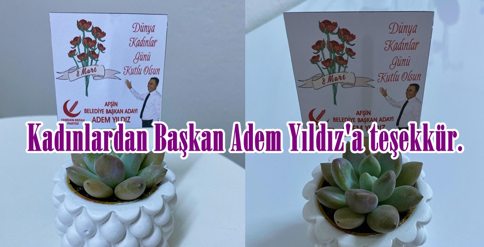 WhatsApp Image 2024-03-08 at 19.35-horztıp