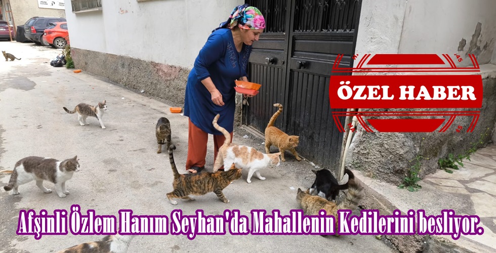 WhatsApp Image 2024-04-15 at 16.46.37yı
