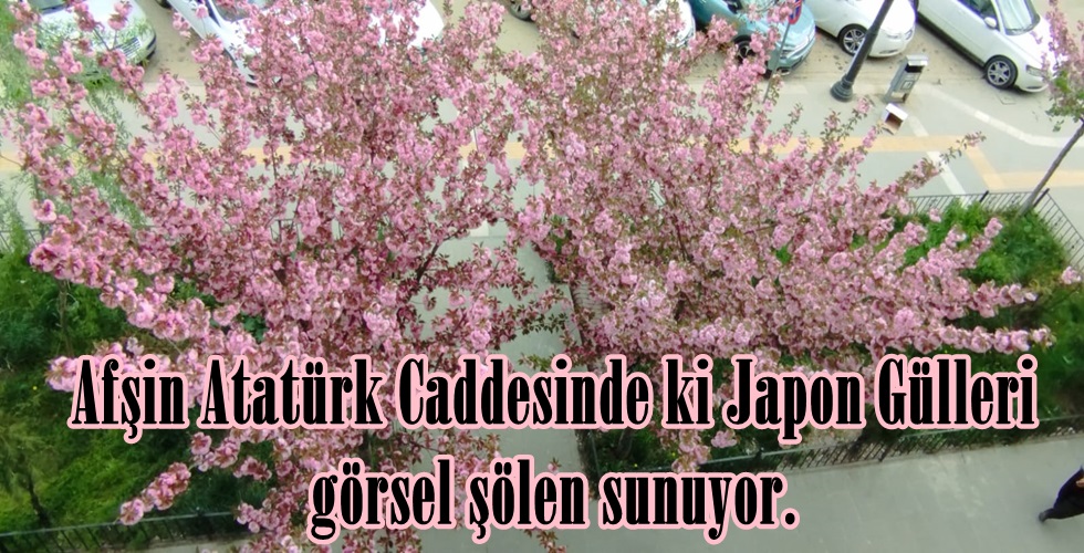 WhatsApp Image 2024-04-18 at 19.20.37 (1)yı