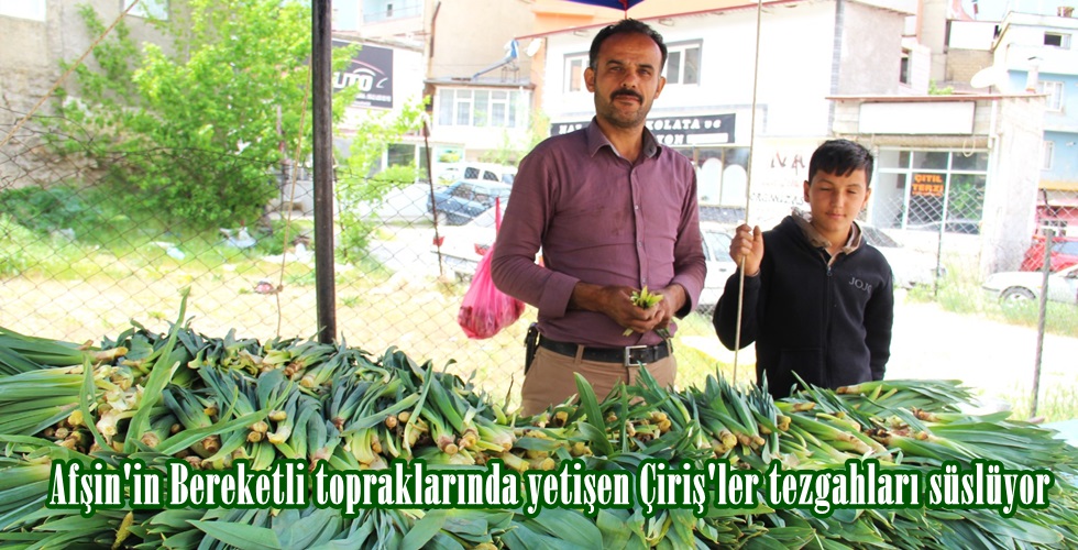 WhatsApp Image 2024-04-29 at 15.32.56 (1)tu